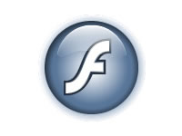 flashlogo_grey.jpg